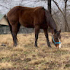 Meet your Posher, Kylee